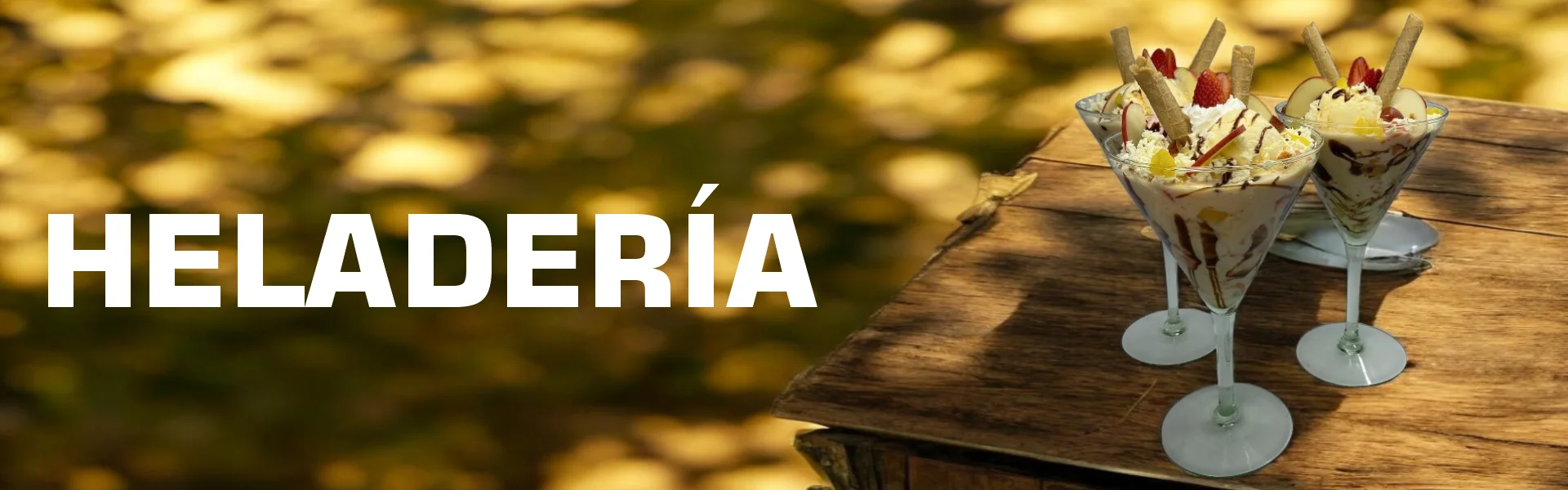 banner para la pagina HELADERIA